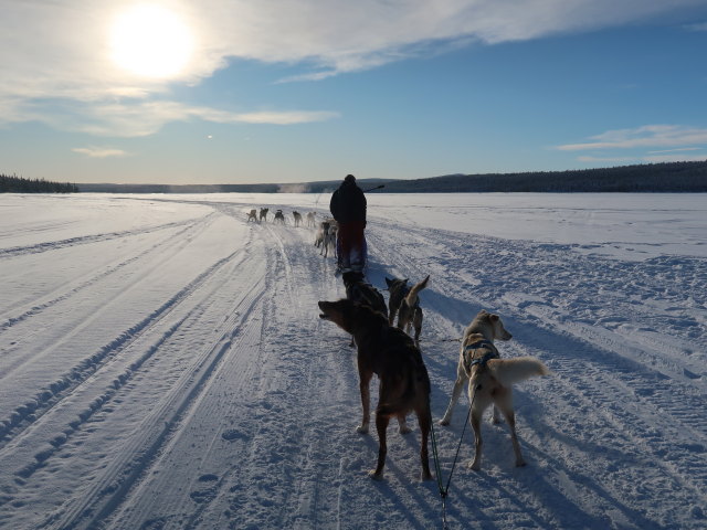 Markus am Oinakkaj&auml;rvi (22. Feb.)