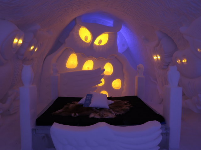 Art Suite 'Parliament of Owls' im Icehotel 36 in Jukkasj&auml;rvi (23. Feb.)