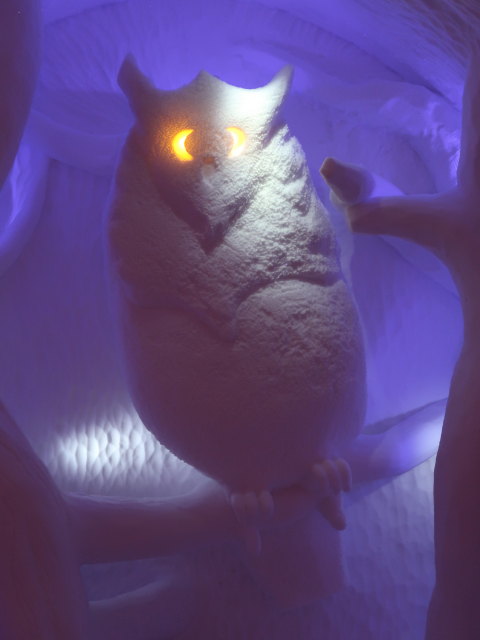 Art Suite 'Parliament of Owls' im Icehotel 36 in Jukkasj&auml;rvi (23. Feb.)