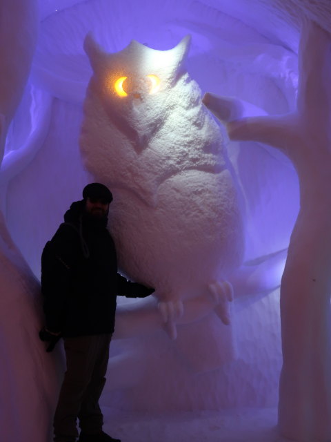 Markus in der Art Suite 'Parliament of Owls' im Icehotel 36 in Jukkasj&auml;rvi (23. Feb.)