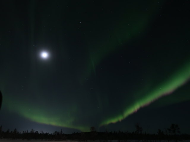zwischen Jukkasj&auml;rvi und V&auml;kk&auml;r&auml;j&auml;rvi (23. Feb.)