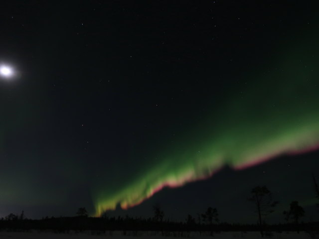 zwischen Jukkasj&auml;rvi und V&auml;kk&auml;r&auml;j&auml;rvi (23. Feb.)
