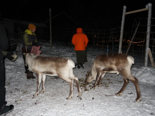 Nirpi Jounis V&auml;g in Kiruna (23. Feb.)