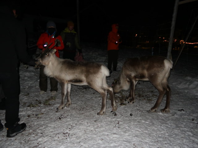 Nirpi Jounis V&auml;g in Kiruna (23. Feb.)