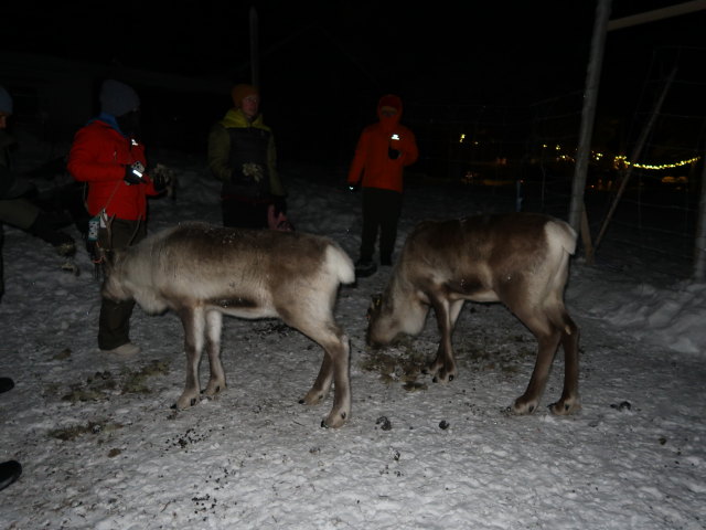 Nirpi Jounis V&auml;g in Kiruna (23. Feb.)