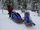 Markus in der Basis von Arctic Dogsled Adventure in Laxforsen (20. Feb.)