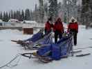 Basis von Arctic Dogsled Adventure in Laxforsen (20. Feb.)