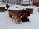 Markus in der Basis von Arctic Dogsled Adventure in Laxforsen (20. Feb.)