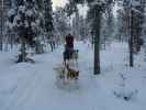 zwischen der Basis von Arctic Dogsled Adventure und Oinakkaj&auml;rvi (20. Feb.)