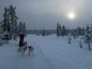 zwischen der Basis von Arctic Dogsled Adventure und Oinakkaj&auml;rvi (20. Feb.)