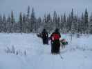 Markus zwischen der Basis von Arctic Dogsled Adventure und Oinakkaj&auml;rvi (20. Feb.)