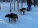 Wildniscamp von Arctic Dogsled Adventure beim V&auml;kk&auml;r&auml;j&auml;rvi (21. Feb.)