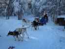 Wildniscamp von Arctic Dogsled Adventure beim V&auml;kk&auml;r&auml;j&auml;rvi (21. Feb.)