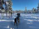 beim Wildniscamp von Arctic Dogsled Adventure beim V&auml;kk&auml;r&auml;j&auml;rvi (21. Feb.)