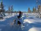 zwischen Piettarasj&auml;rvi und Sautusj&auml;rvi (21. Feb.)