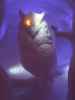 Art Suite 'Parliament of Owls' im Icehotel 36 in Jukkasj&auml;rvi (23. Feb.)