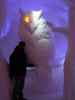 Markus in der Art Suite 'Parliament of Owls' im Icehotel 36 in Jukkasj&auml;rvi (23. Feb.)