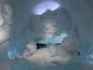 Art Suite 'An Otter's Midwinters Night's Dream' im Icehotel 36 in Jukkasj&auml;rvi (23. Feb.)