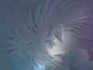 Art Suite 'An Otter's Midwinters Night's Dream' im Icehotel 36 in Jukkasj&auml;rvi (23. Feb.)