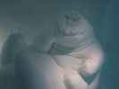 Art Suite 'Survival of the fittest' im Icehotel 36 in Jukkasj&auml;rvi (23. Feb.)