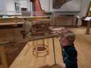 Nils in der Dauerausstellung 'Musikinstrumente'