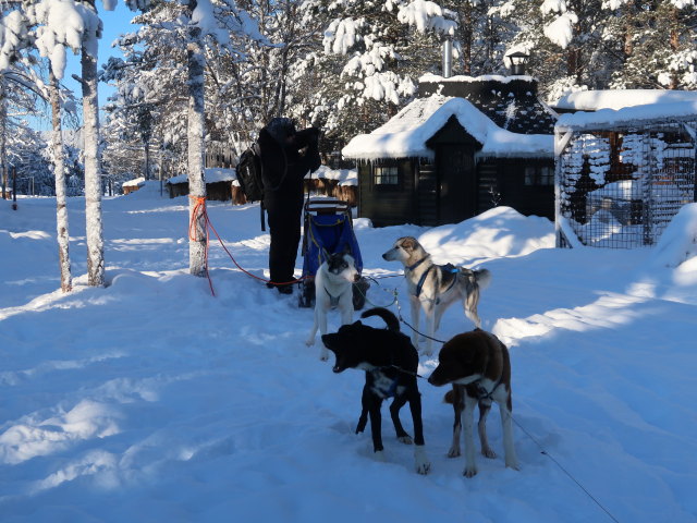 Markus im Wildniscamp von Arctic Dogsled Adventure beim V&auml;kk&auml;r&auml;j&auml;rvi (21. Feb.)