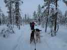 Markus zwischen der Basis von Arctic Dogsled Adventure und Oinakkaj&auml;rvi (20. Feb.)