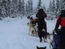 Markus zwischen der Basis von Arctic Dogsled Adventure und Oinakkaj&auml;rvi (20. Feb.)