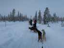 Markus zwischen der Basis von Arctic Dogsled Adventure und Oinakkaj&auml;rvi (20. Feb.)