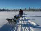 zwischen Piettarasj&auml;rvi und Sautusj&auml;rvi (21. Feb.)