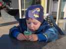 Nils
