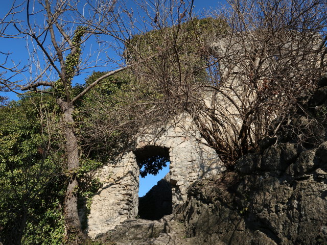 Ruine Rauheneck, 363 m
