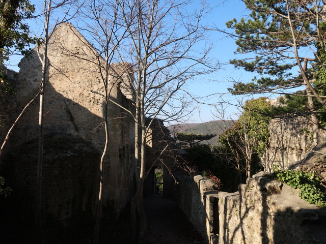 Ruine Rauheneck, 363 m
