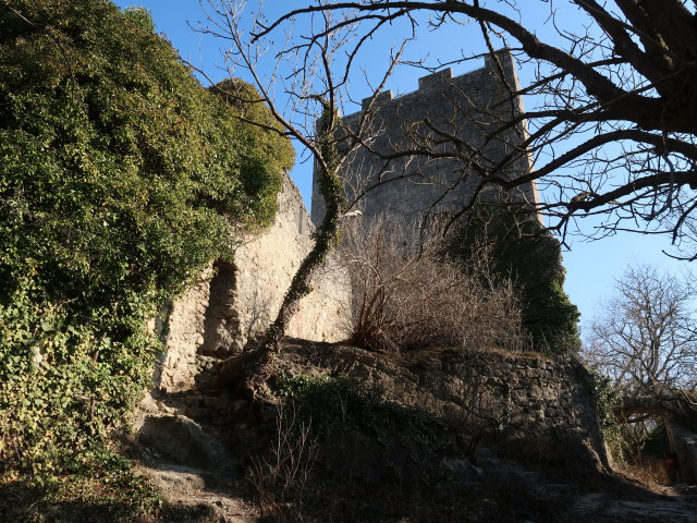 Ruine Rauheneck, 363 m