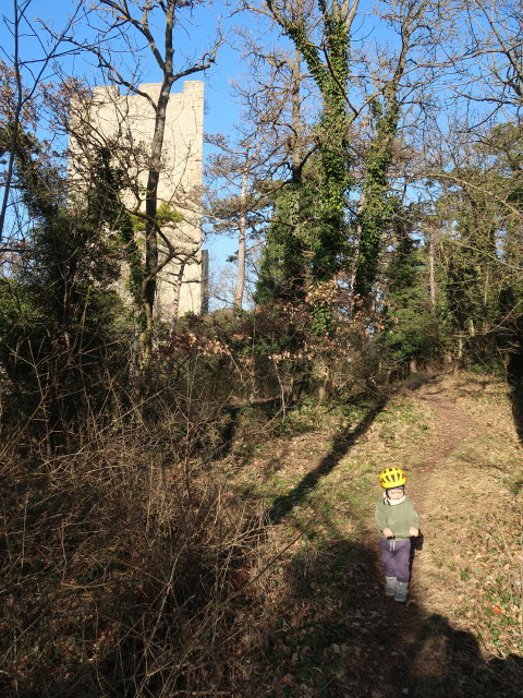 Nils bei der Ruine Rauheneck, 363 m