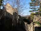 Ruine Rauheneck, 363 m