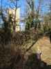 Nils bei der Ruine Rauheneck, 363 m