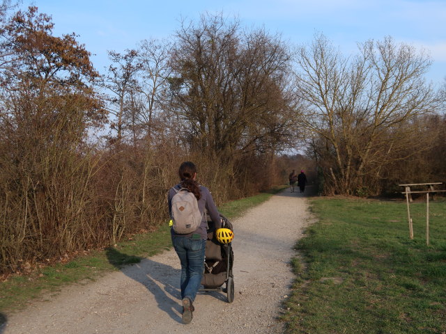 Sabine zwischen Br&uuml;nner Stra&szlig;e und Rittingergasse