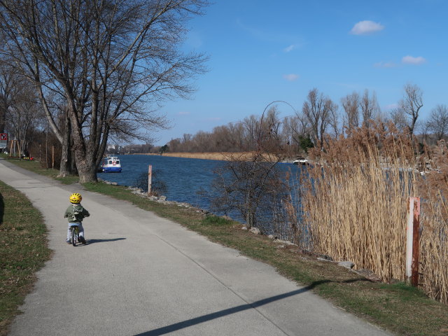 Nils beim Kuchelauer Hafen