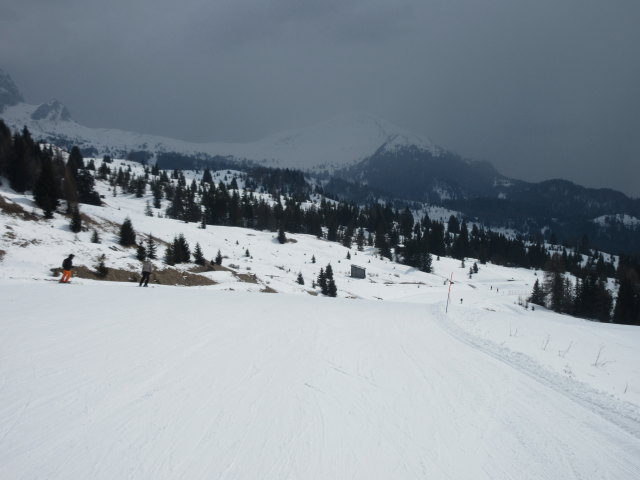 Piste 'Incisa' (21. M&auml;rz)