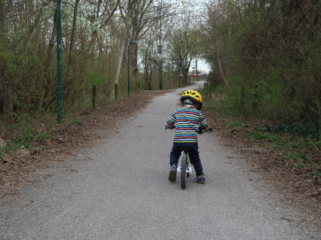Nils zwischen M&uuml;hlweg und Marchfeldkanal