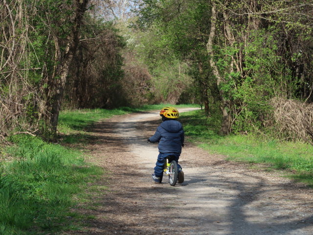 Nils in Hirschstetten