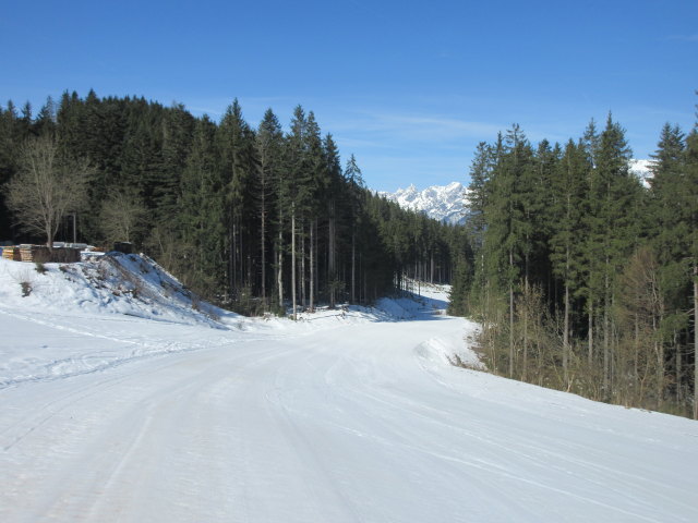 Rosnerk&ouml;pfl-Talabfahrt