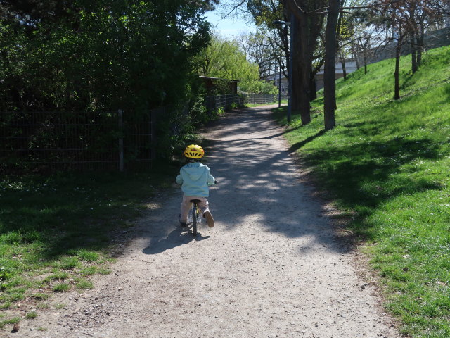 Nils in der Bodenstedtgasse