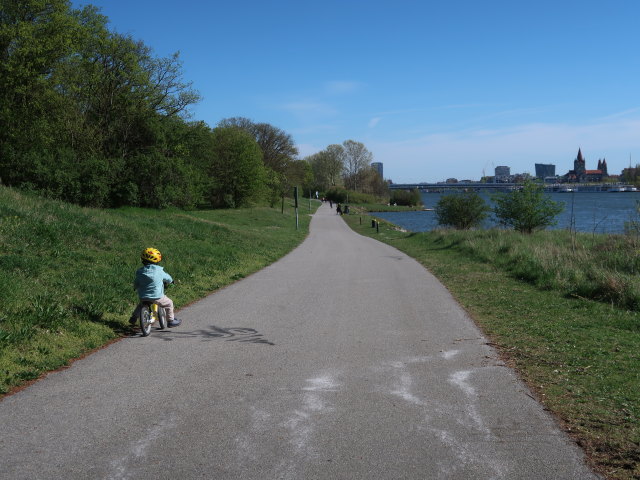 Nils zwischen Brigittenauer Br&uuml;cke und Reichsbr&uuml;cke