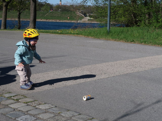 Nils zwischen Brigittenauer Br&uuml;cke und Reichsbr&uuml;cke