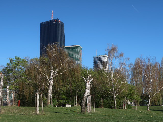 zwischen Brigittenauer Br&uuml;cke und Reichsbr&uuml;cke