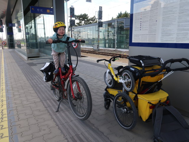 Nils im Bahnhof Gerasdorf, 163 m