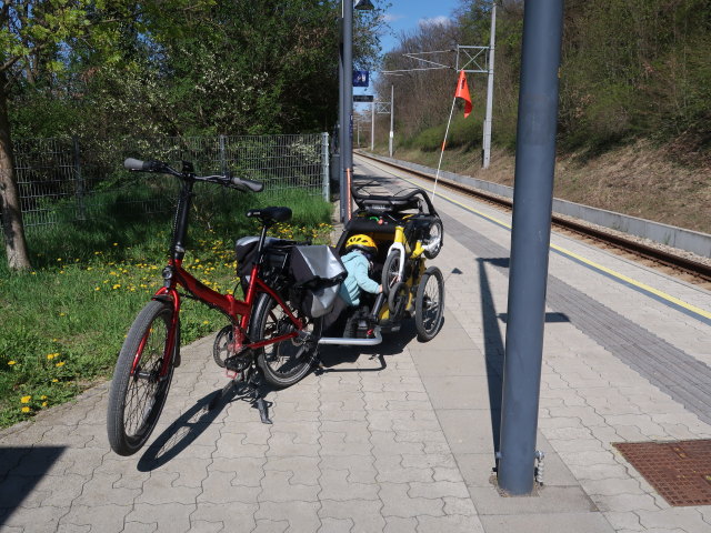 Nils im Bahnhof Niederkreuzstetten, 241 m
