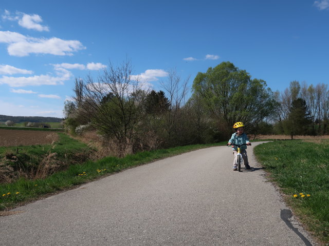 Nils zwischen Niederkreuzstetten und Hautzendorf